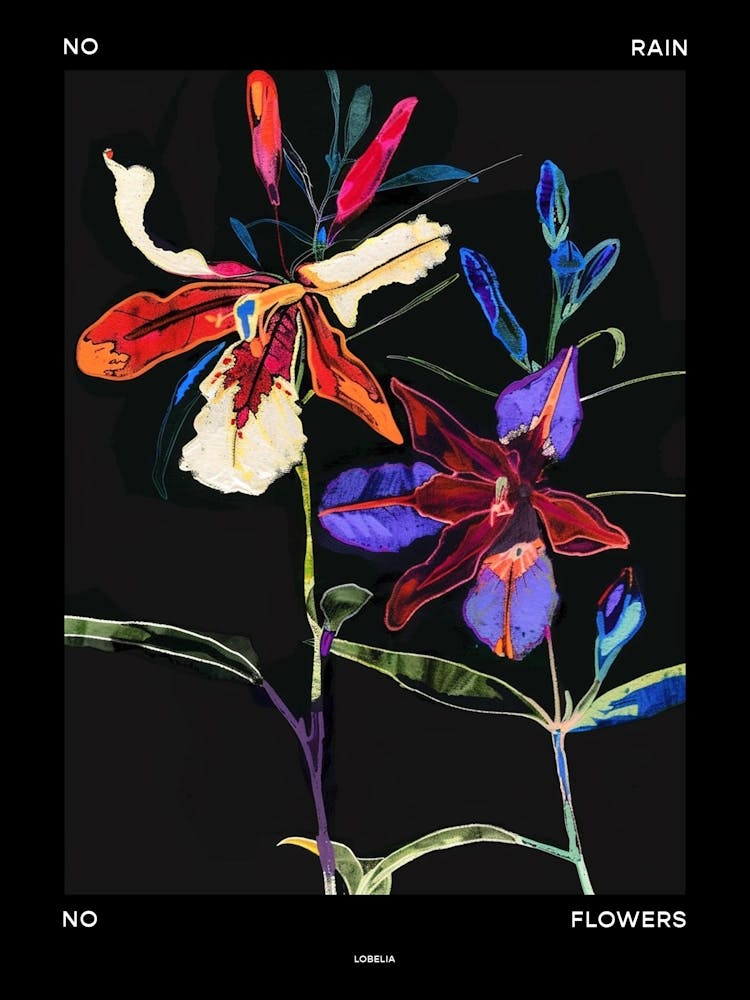 No Rain No Flowers Poster Lobelia 1
