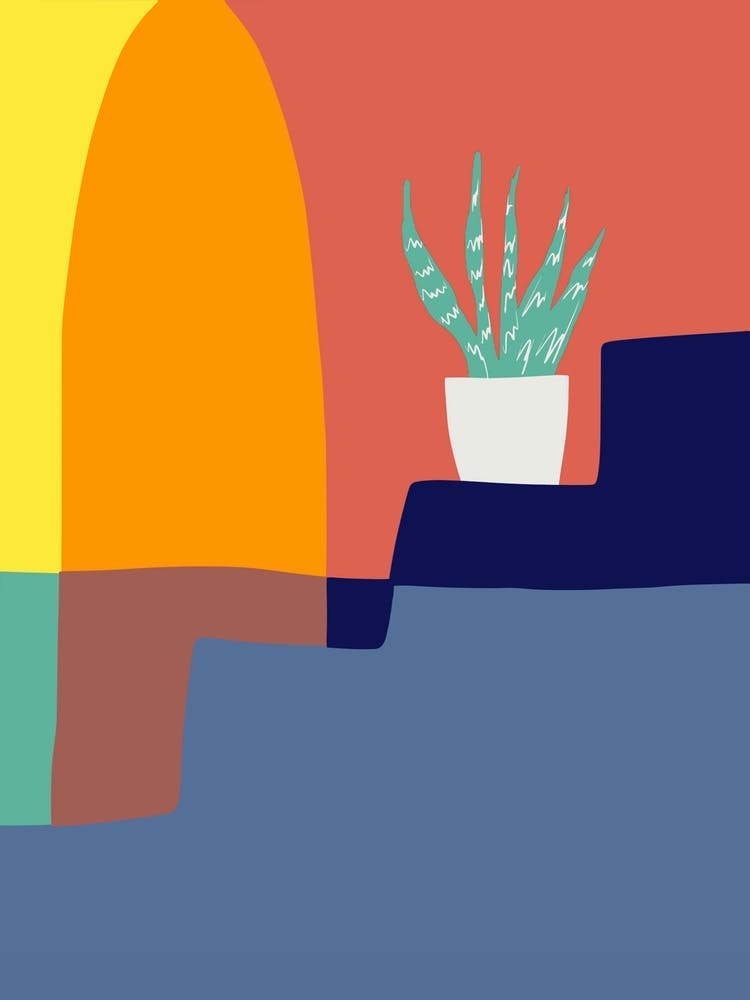 Aloe Vera In Multicolors