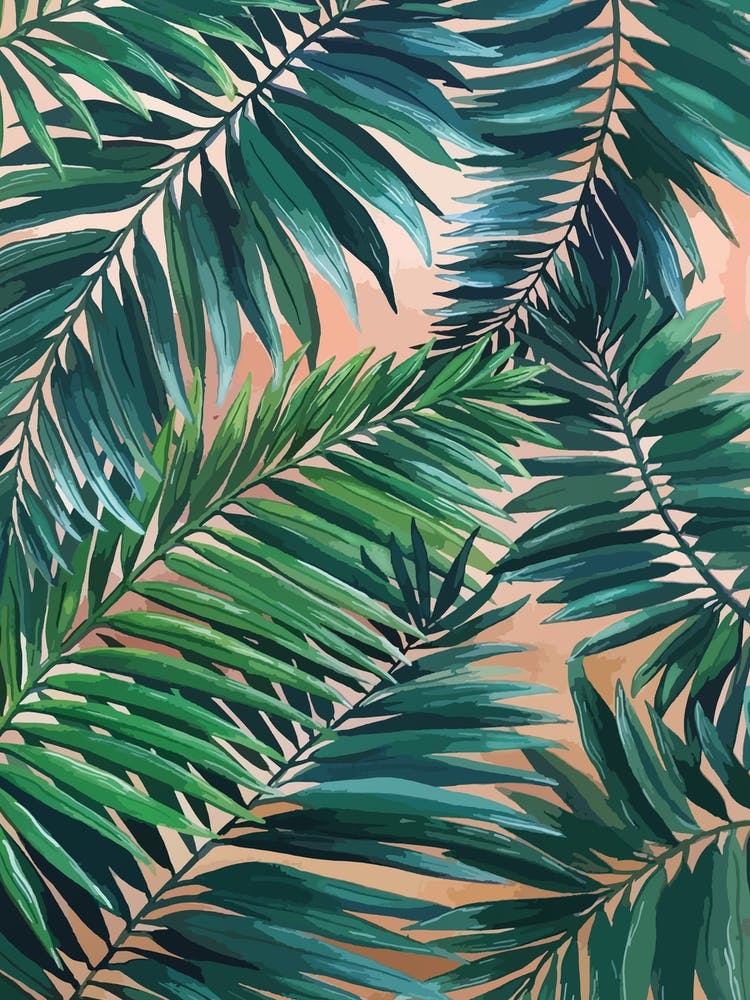 Palm Leaves 1