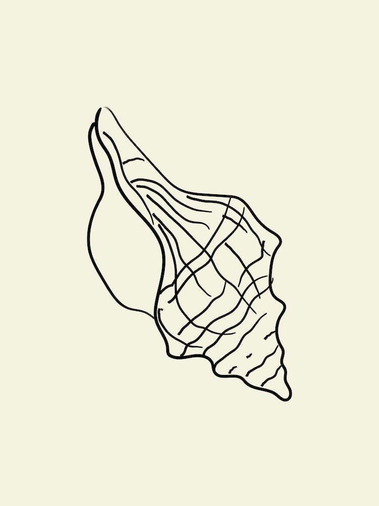 Seashell 4