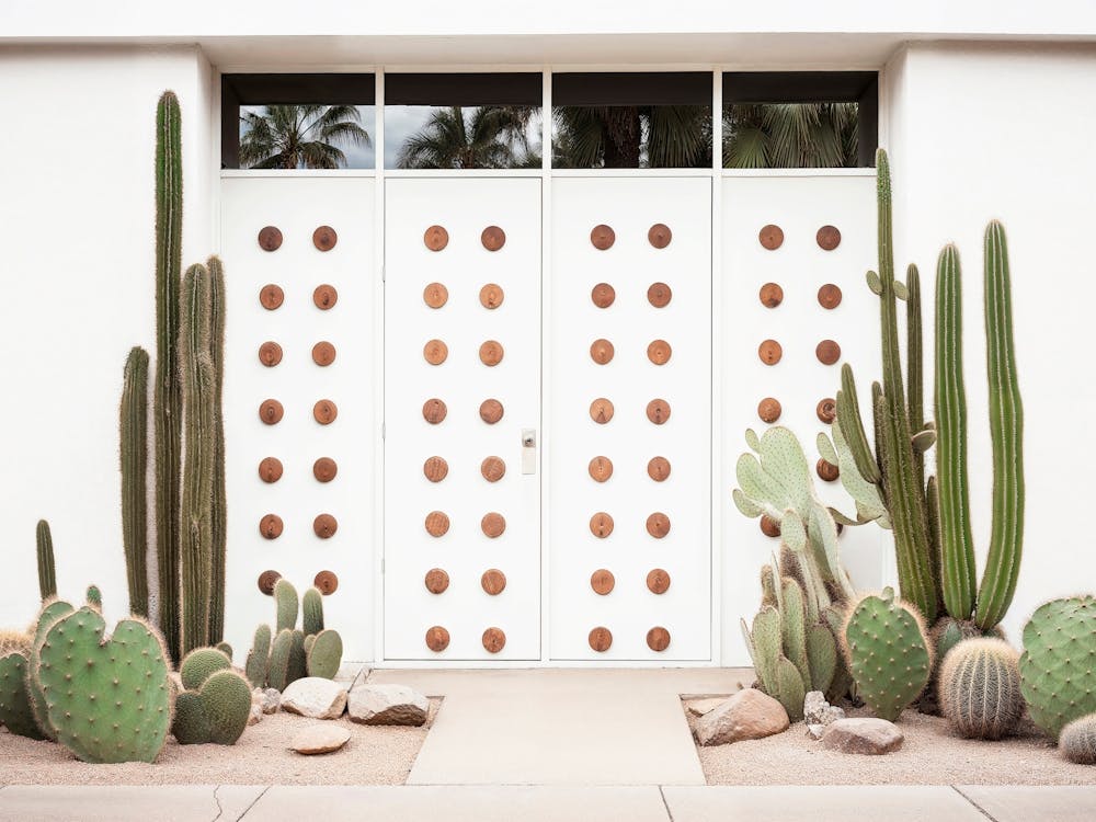 California Dreaming - Blancheur Mid-Century