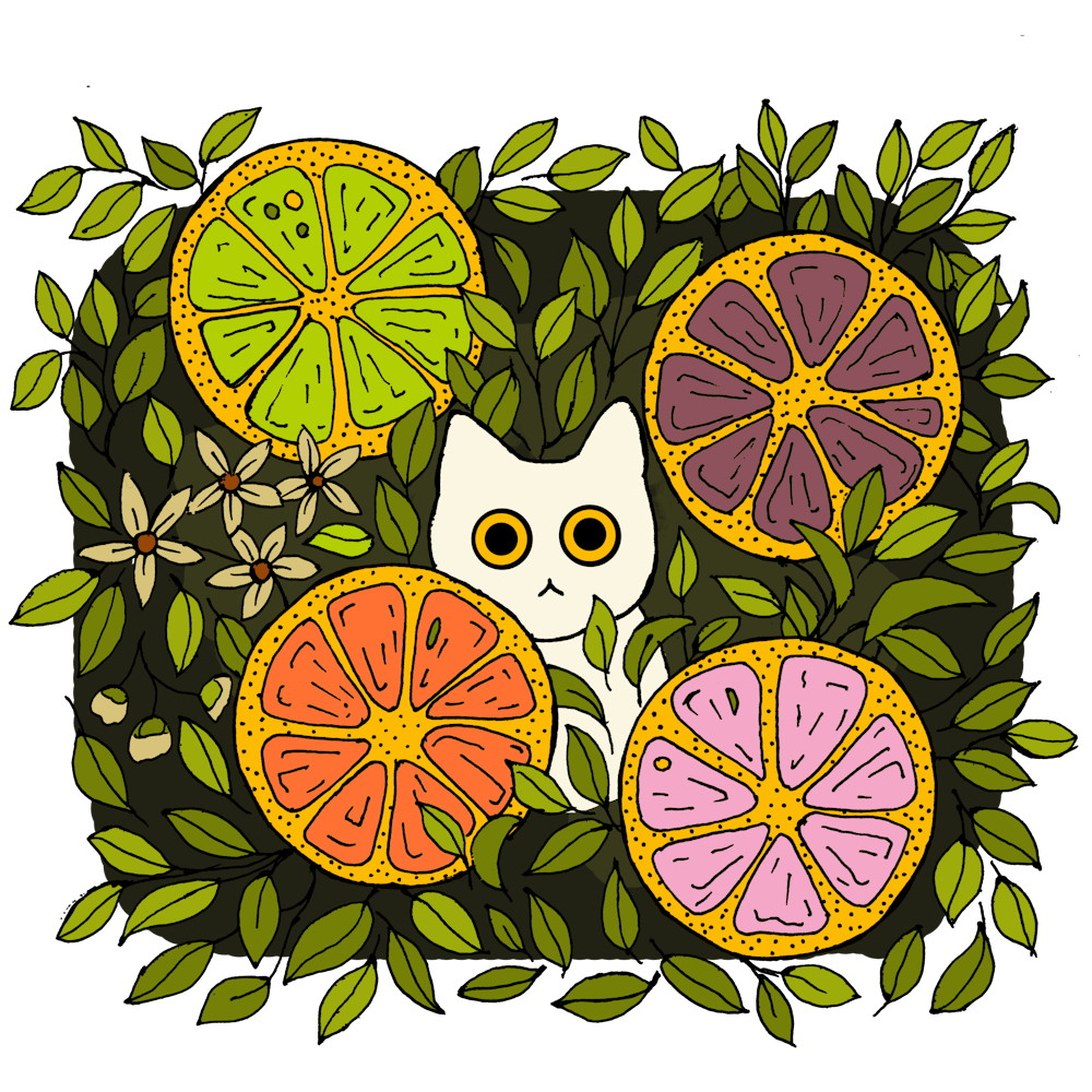 White Cat In Lime Garden Aesthetic Fresh Looking Art