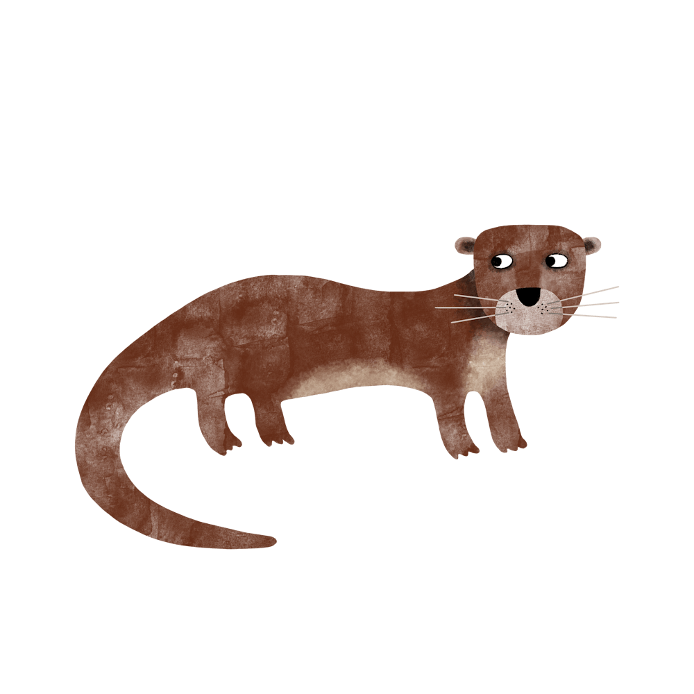 Otter