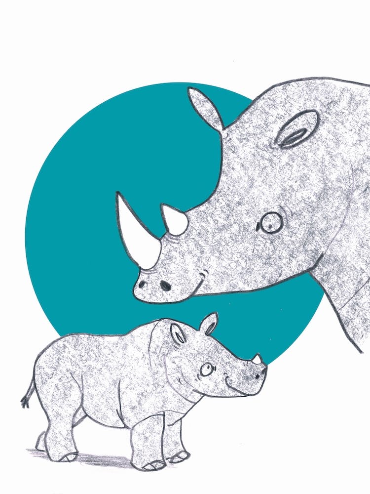 Rhino And Baby