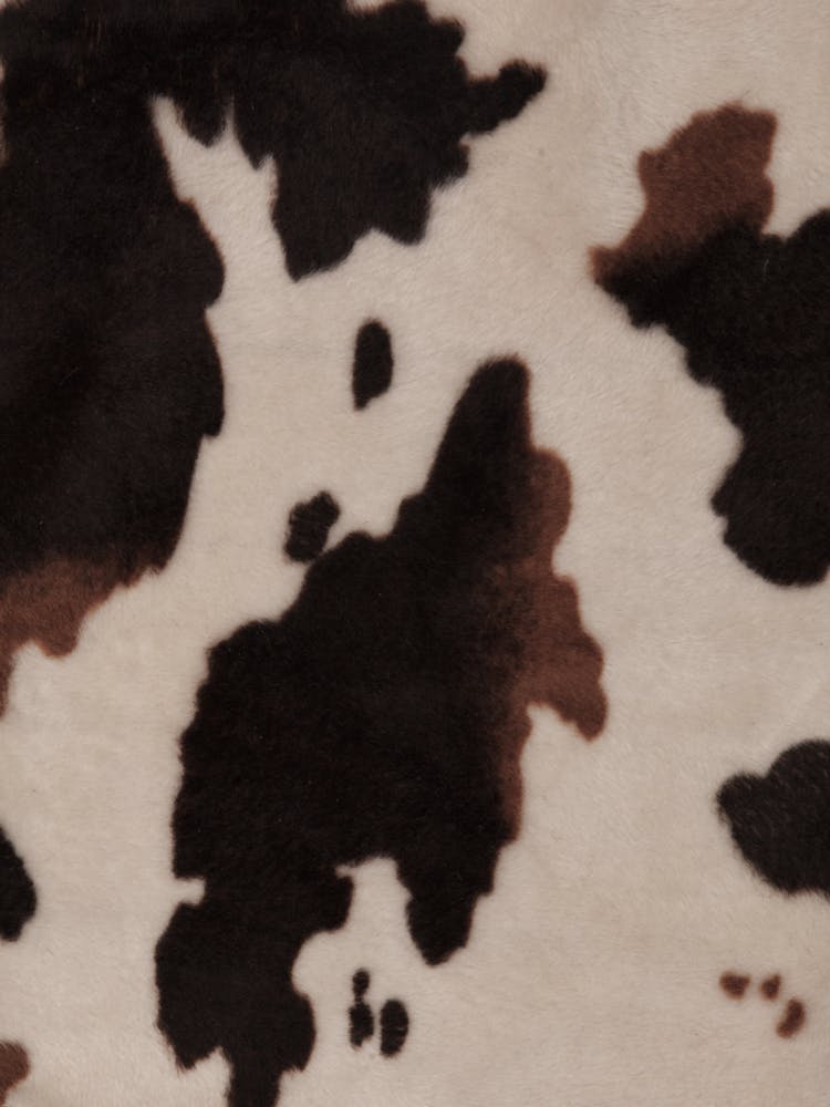Cow Print 1