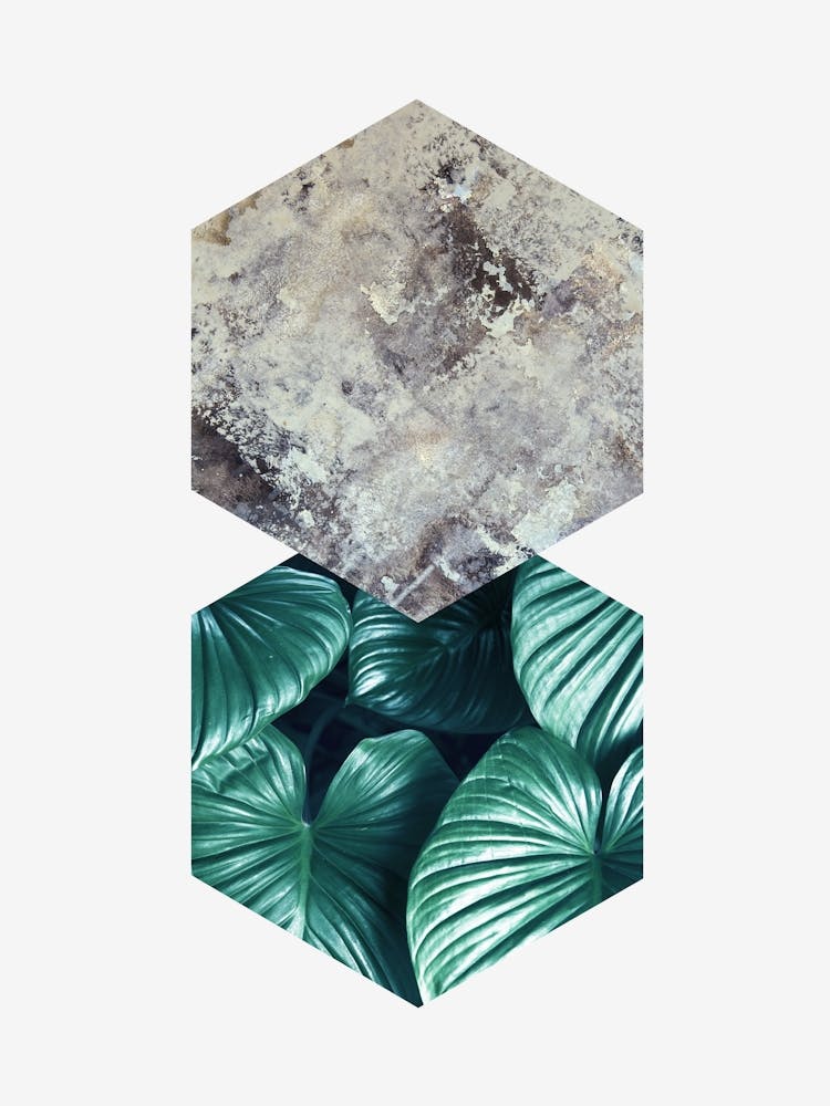 Geometric and botanical B