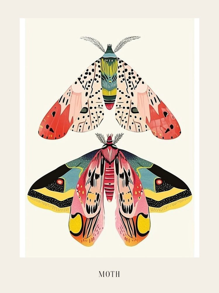 Colourful Insect Illustration Moth 11 Poster