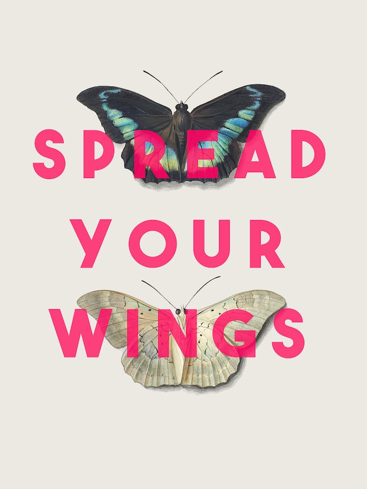 Spread Your Wings