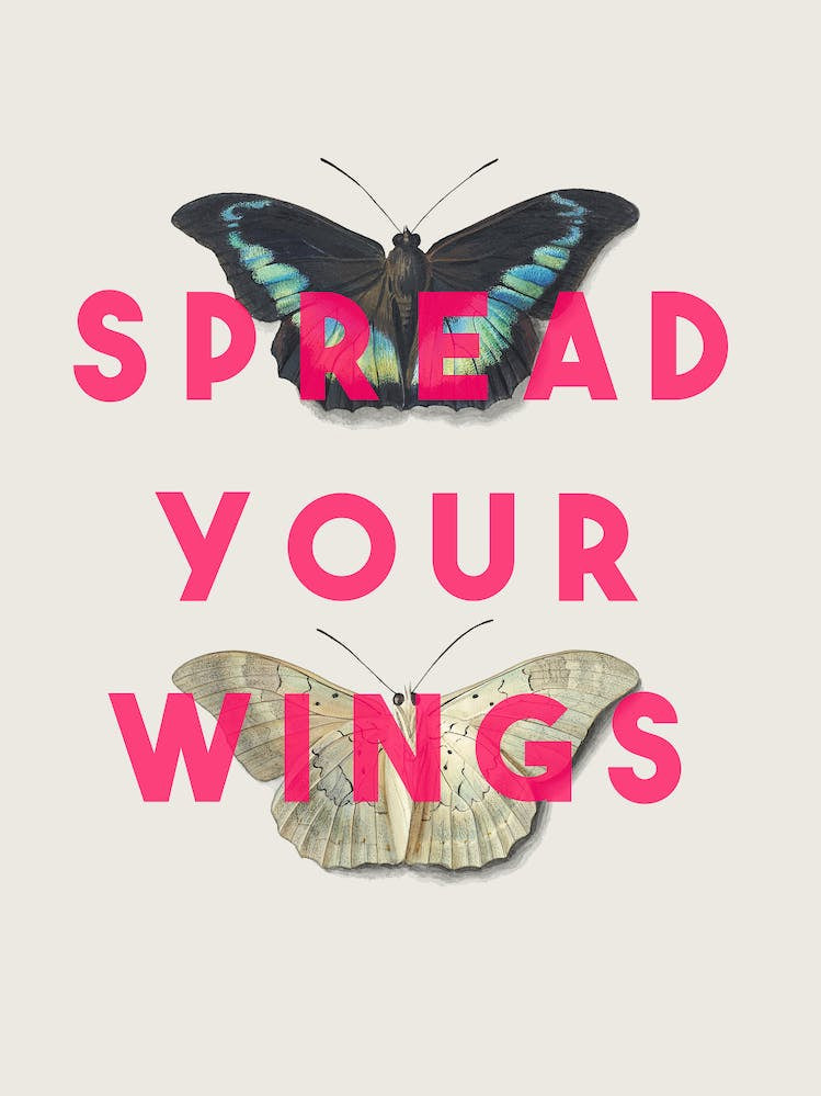 Spread Your Wings