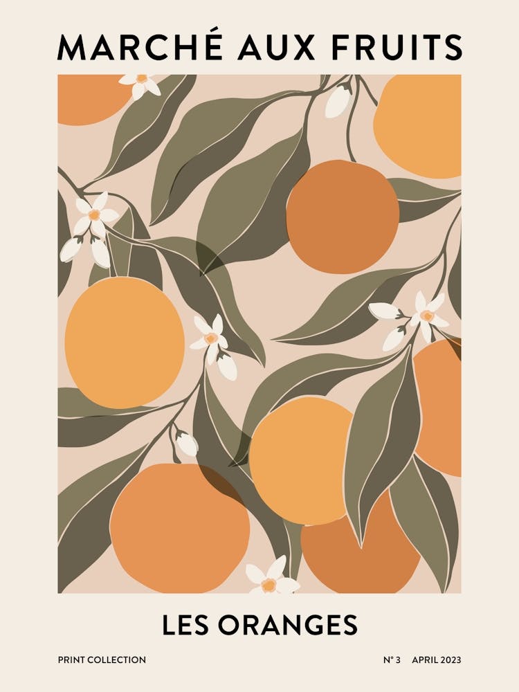 Fruit Market - Oranges