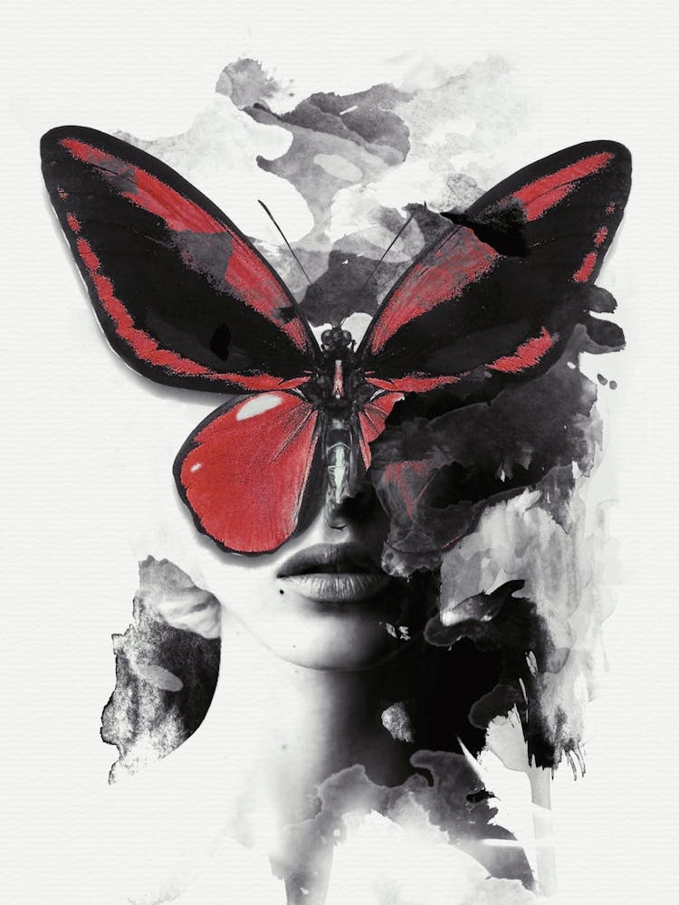 Red Butterfly