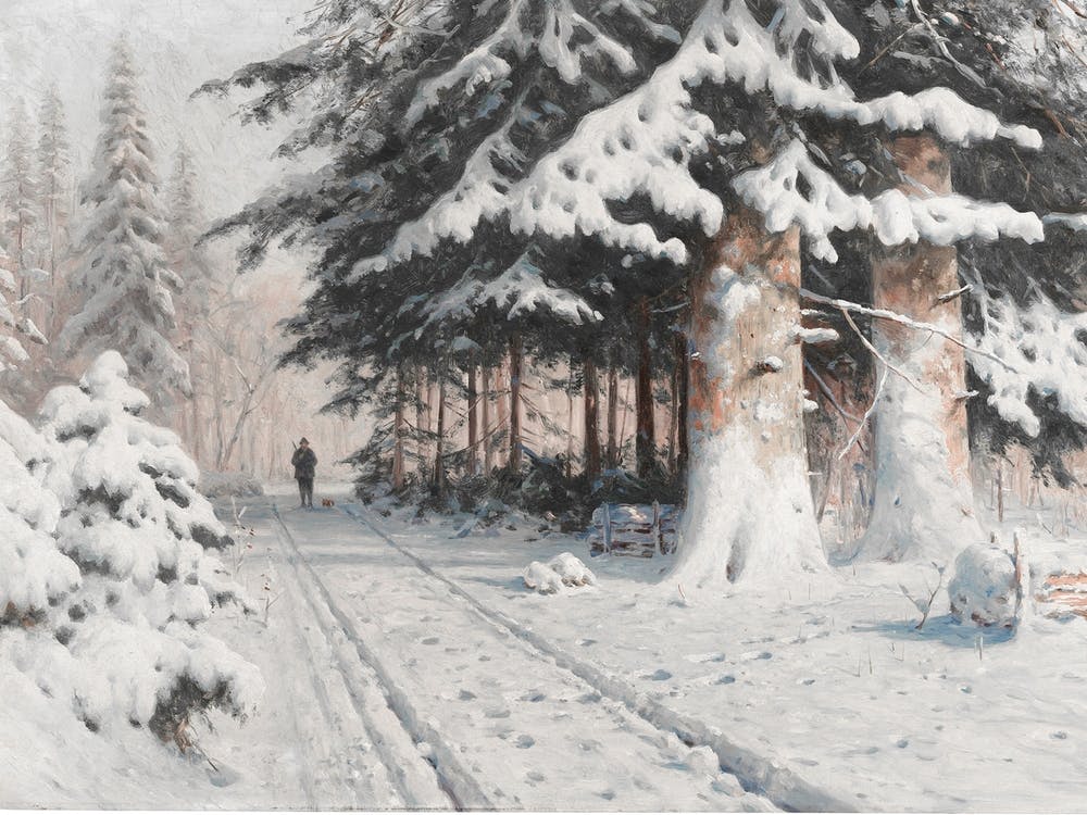 Winter'S Walk 2