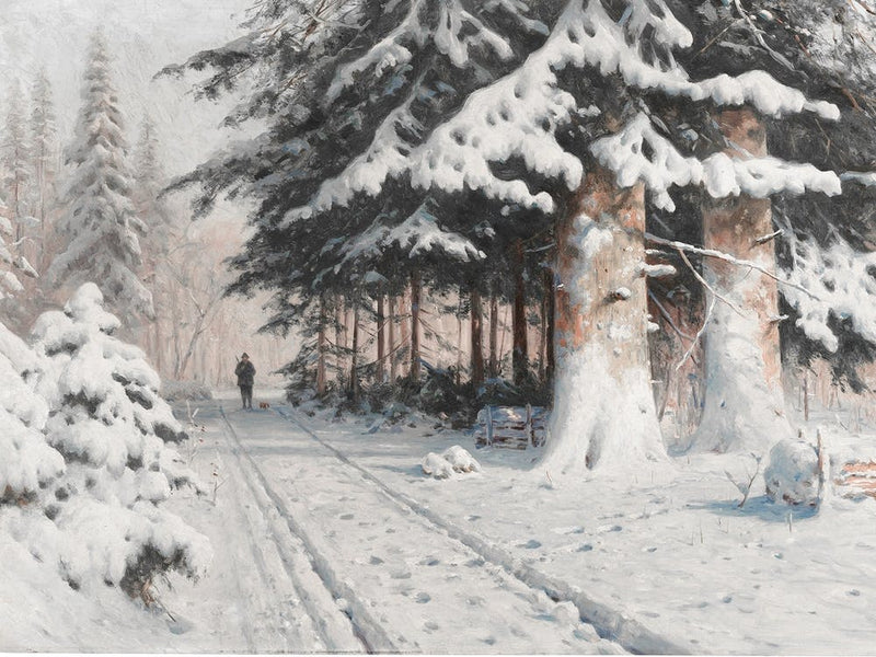 Winter'S Walk 2