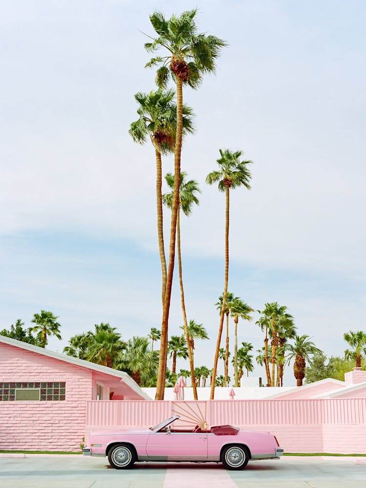 Pink Palm Springs
