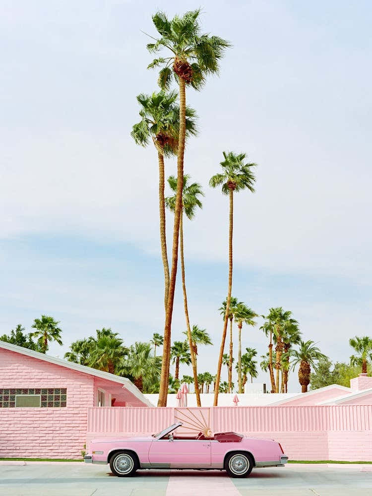 Pink Palm Springs