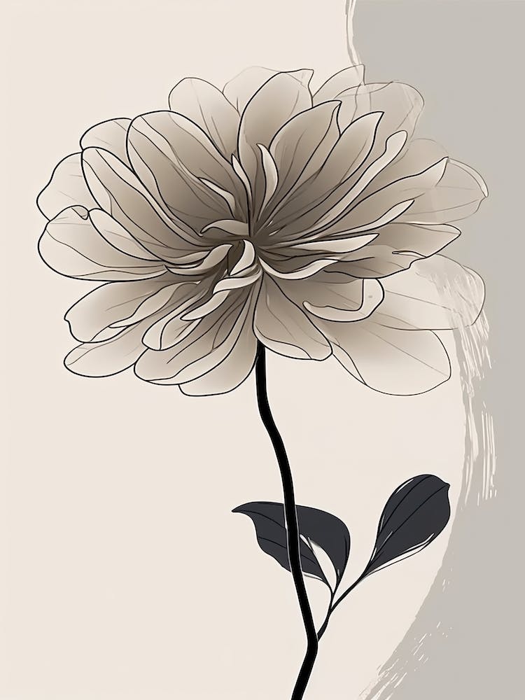 Dahlia Line Art Flowers Illustration Neutral 16