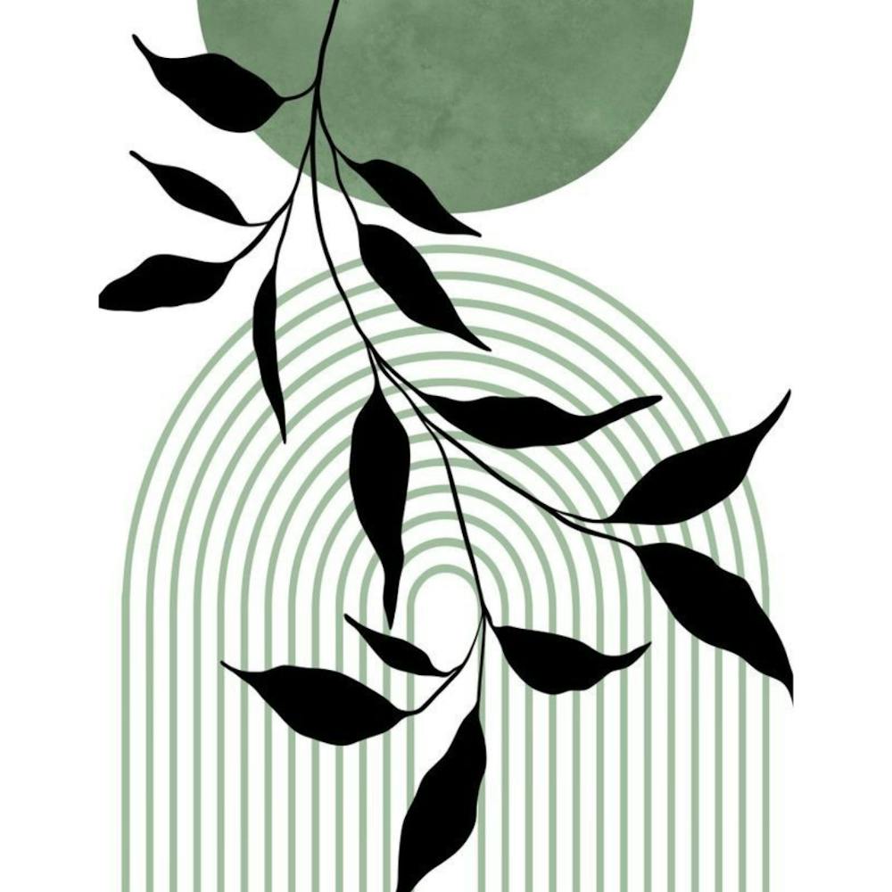 Eucalyptus Leaf