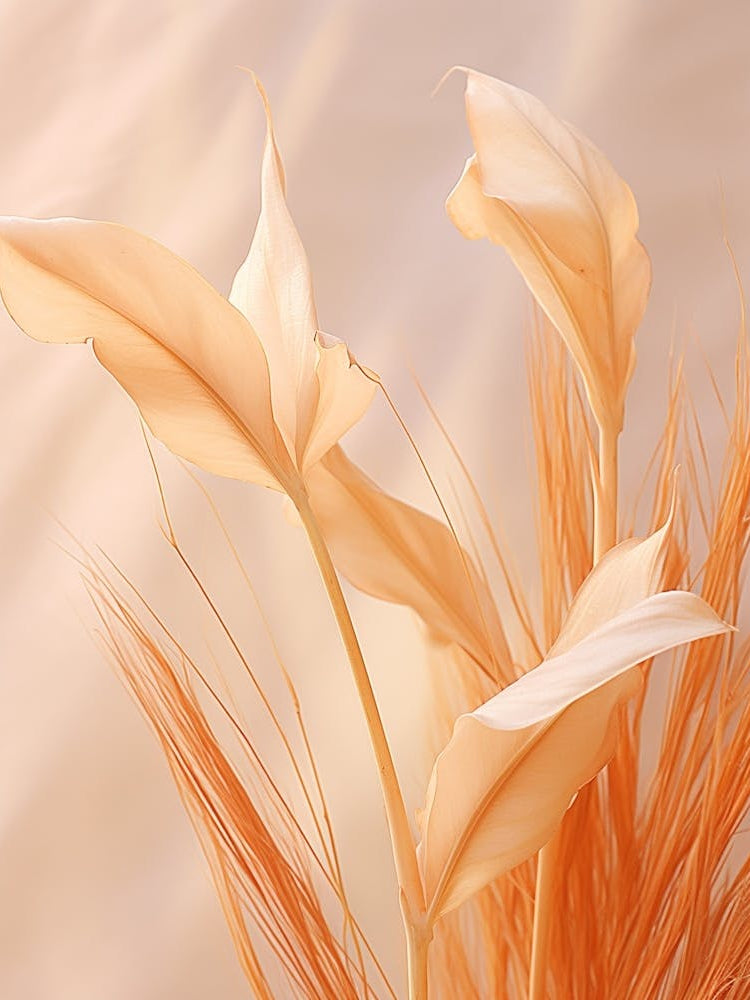 Boho Dried Flowers Heliconia 4