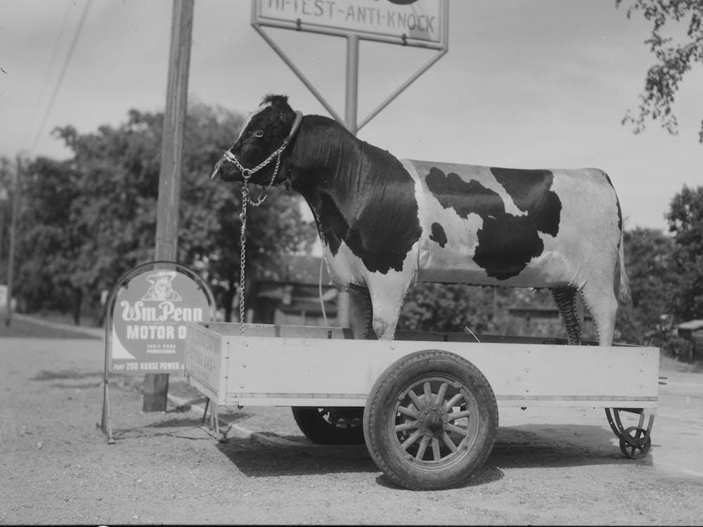 Stuffed Bull In Front Of Gas Station, Minnesota By Russell Lee