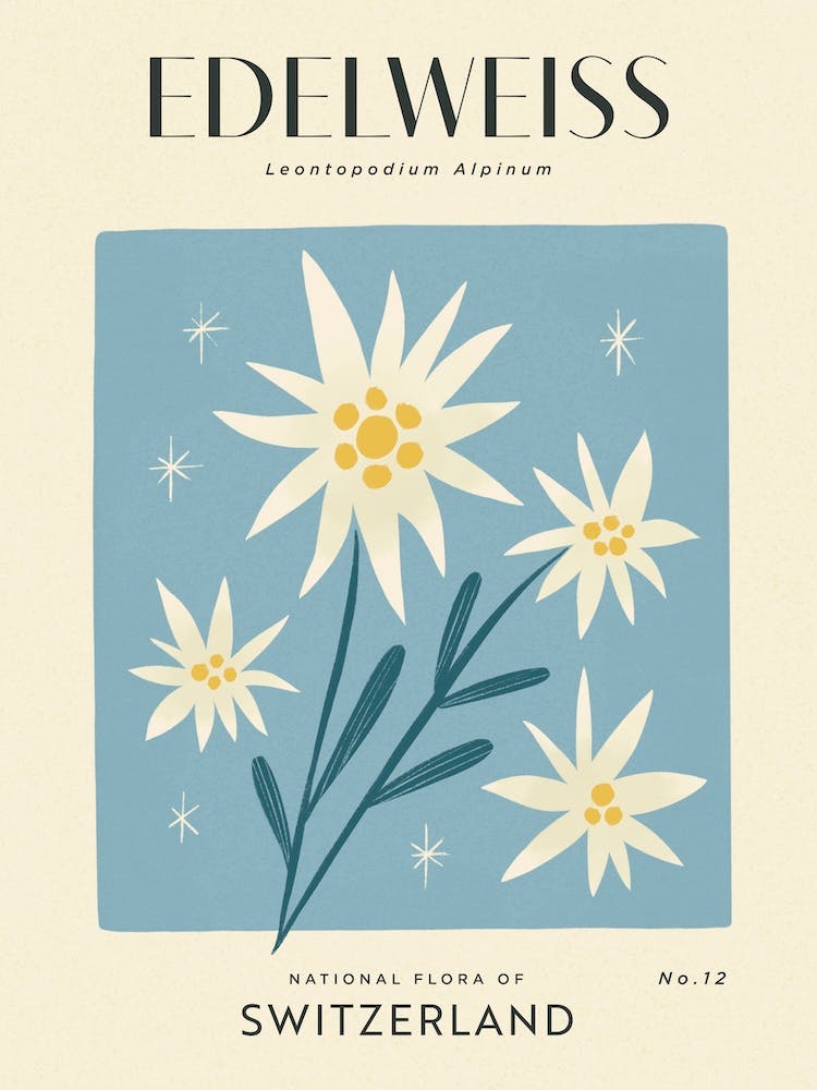 Vintage Blue And White Edelweiss Flower Of Switzerland