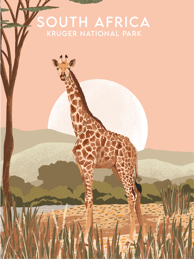 South Africa Kruger National Park Safari 1