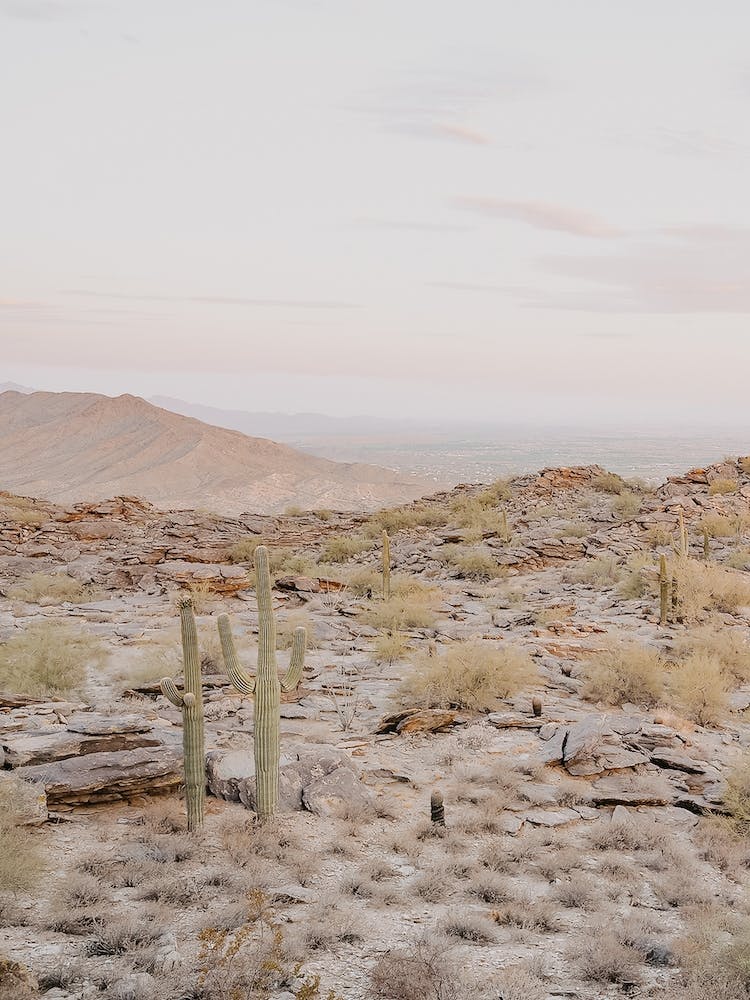 Pastel Desert Sky