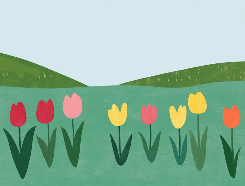Tulips 77