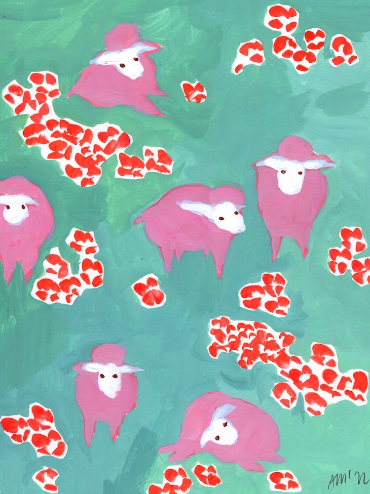 Pink Sheep On A Green Meadow