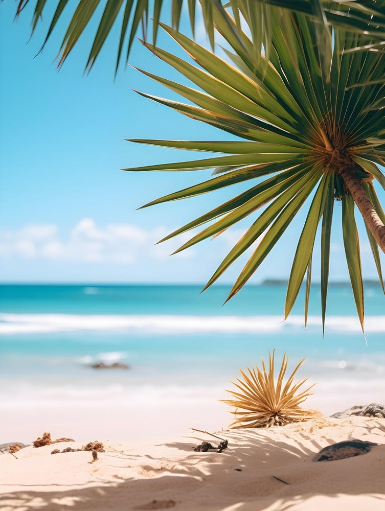 Palmier Sur La Plage