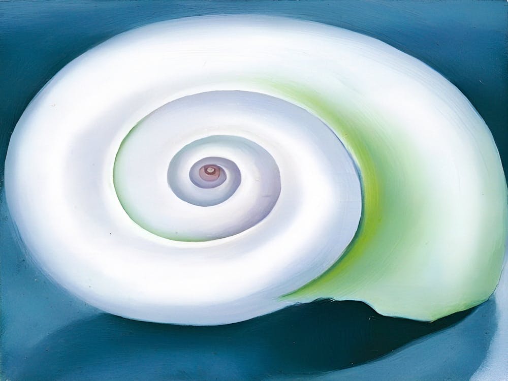 Georgia O'Keeffe - Shell No. I , 1928