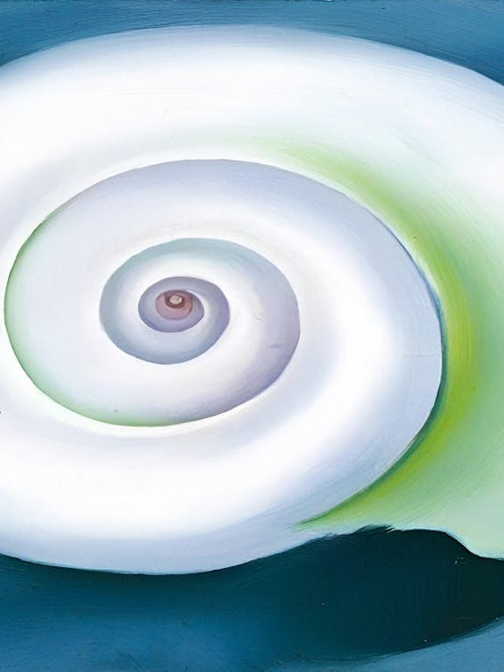 Georgia O'Keeffe - Shell No. I , 1928