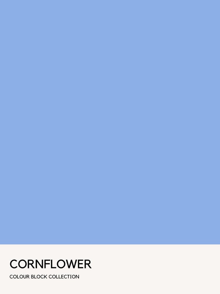 Cornflower Colour Block Poster