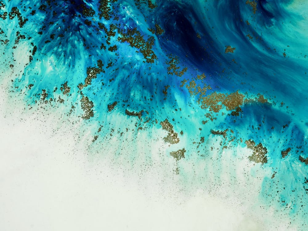 Above The Shallows