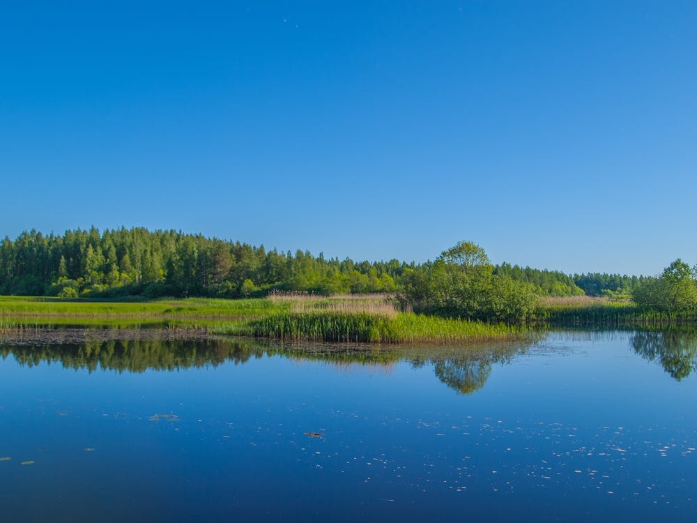 Lake - Lake Stock Videos & Royalty-Free Footage