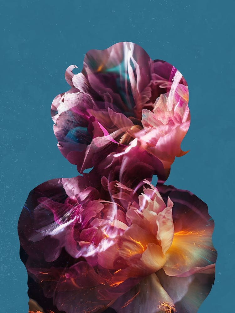 Marilyn Monroe Flower Portrait 2