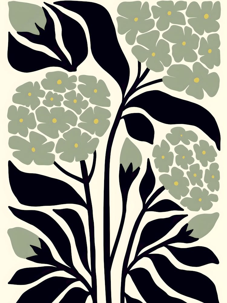 Henri Matisse Hyacinth