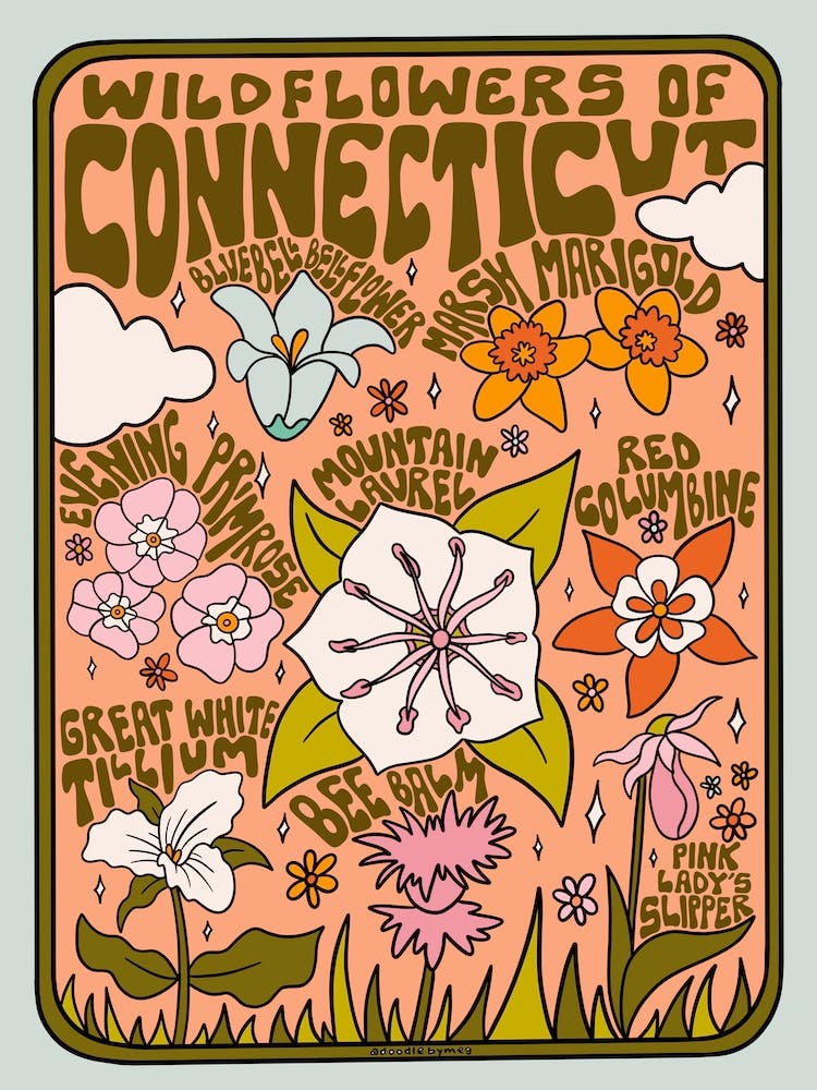 Connecticut Wildflowers