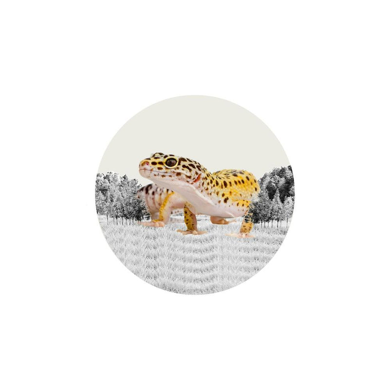Leopard Gecko Collage Square