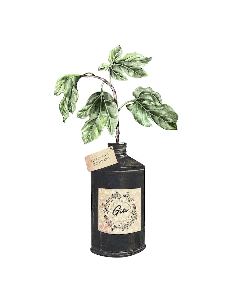 Gin Bottle Vase