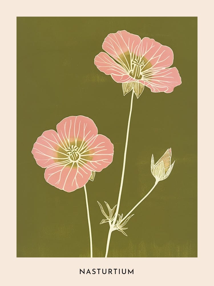 Pink & Green Nasturtium 3 Flower Poster