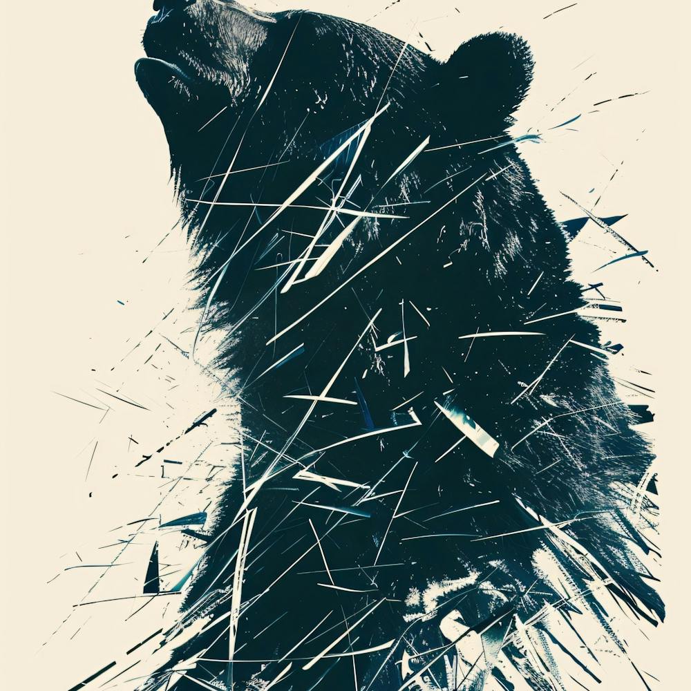 Black Bear
