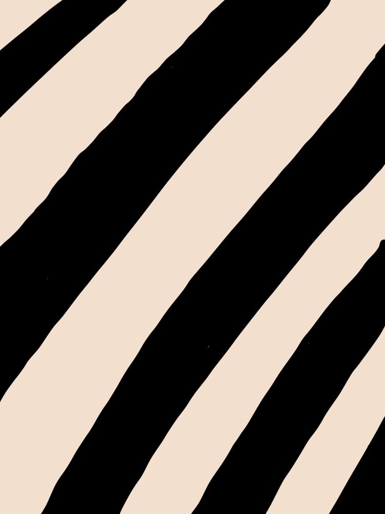 Zebra Stripes 25