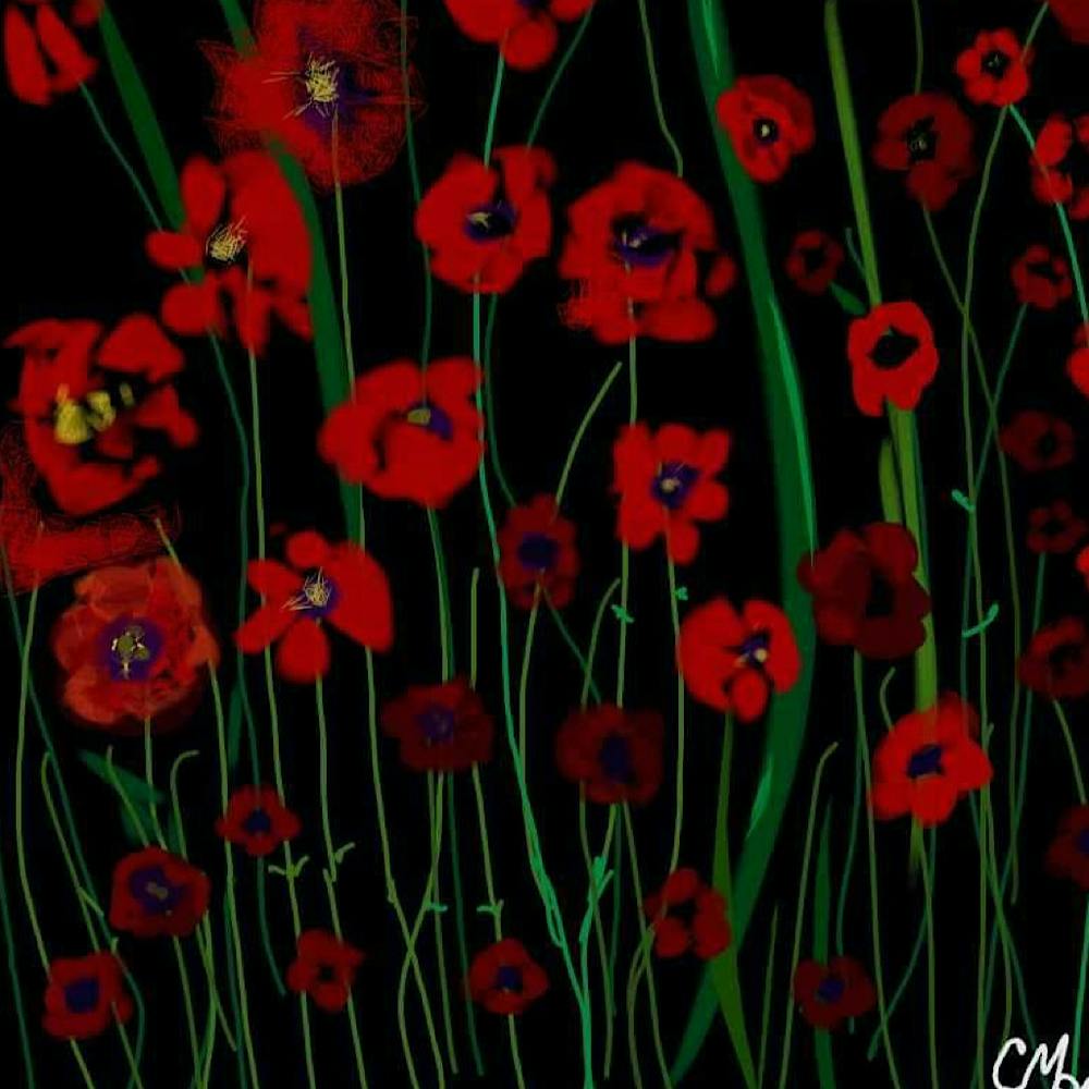 Poppy’s In The Night