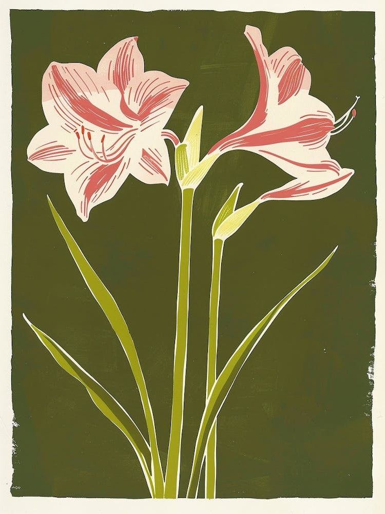 Pink & Green Amaryllis 1