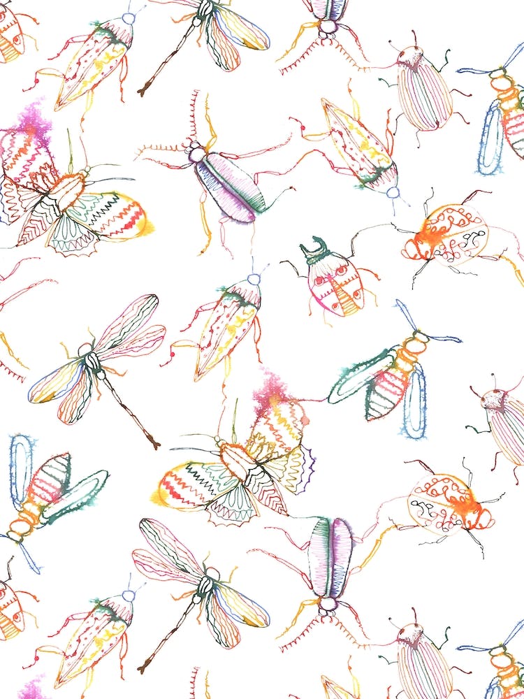 Insects