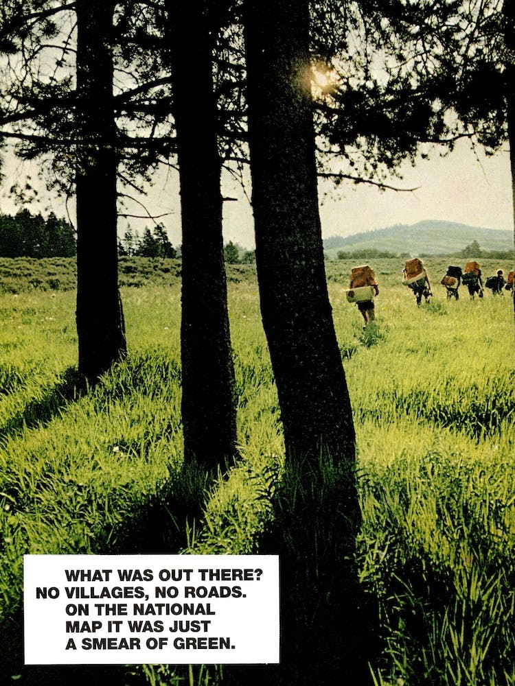 Just A Smear Of Green