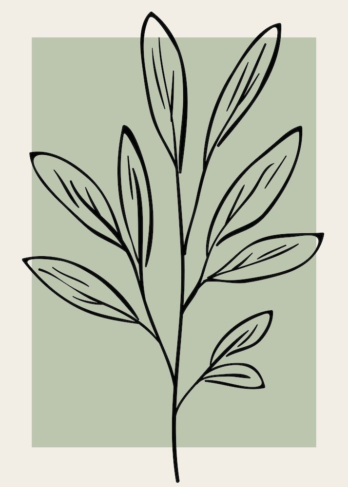 Neutral Wall Floral Botanical Line Art Minimalist Modern Bedroom Living 2