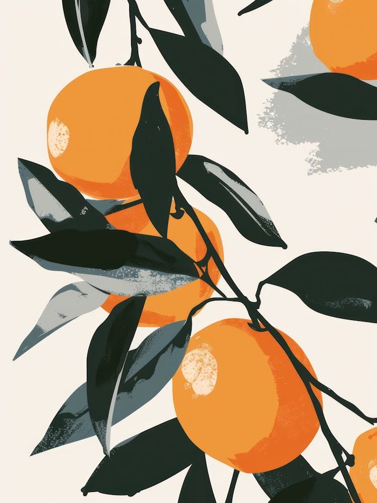 Clementines Close Up Illustration 1