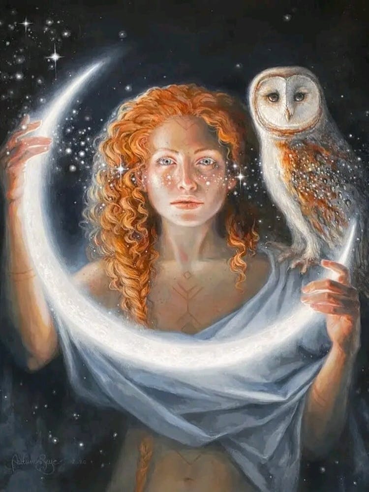 The girl and the owl