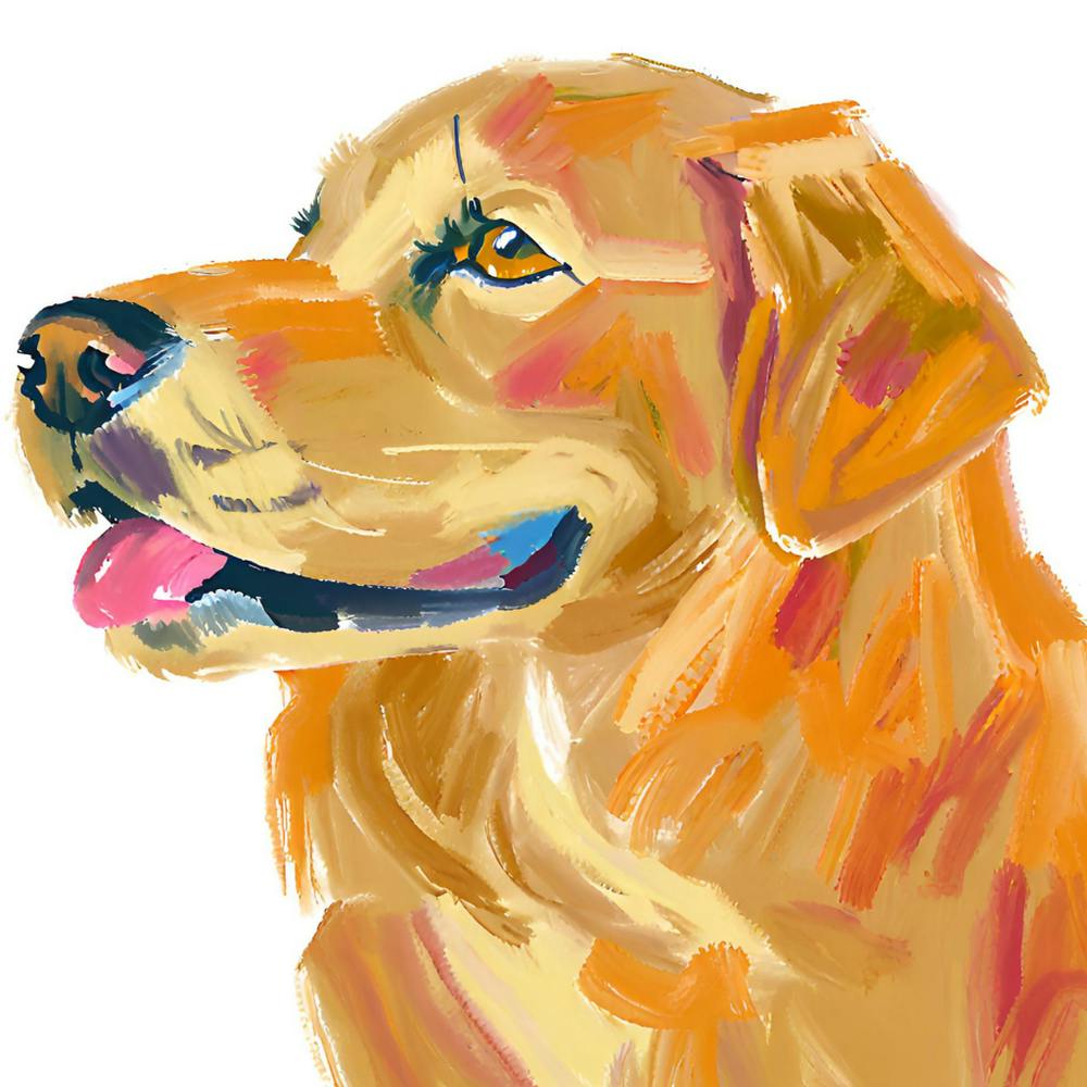 Golden Retriever 02